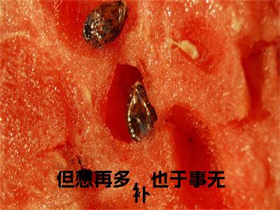 但想再多，也于事无补（许舒檬小说）全文免费阅读无弹窗大结局_（许舒檬小说）但想再多，也于事无补最新章节列表