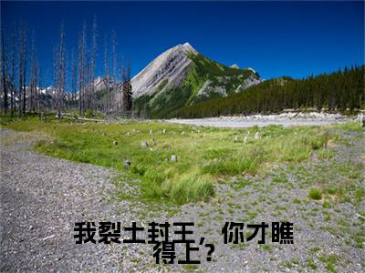 （热推新书）我裂土封王，你才瞧得上？全文免费阅读无弹窗大结局-热推萧文进无弹窗阅读我裂土封王，你才瞧得上？在线阅读