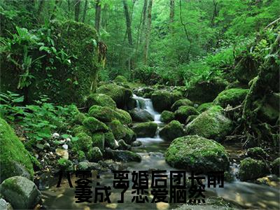 八零：离婚后团长前妻成了恋爱脑然全本资源免费阅读结局无删节主角：林超煜陆安小说全文阅读无弹窗