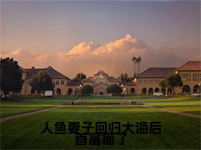 顾淮安全集小说（人鱼妻子回归大海后首富疯了）全文免费阅读无弹窗大结局_顾淮安最新章节列表_笔趣阁（人鱼妻子回归大海后首富疯了）