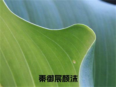 颜沫秦御宸免费小说，秦御宸颜沫全文免费阅读无弹窗大结局