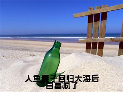 人鱼妻子回归大海后首富疯了免费小说（顾淮安）全本免费阅读-人鱼妻子回归大海后首富疯了最新章节列表
