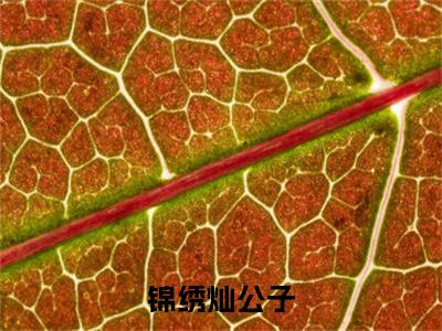 锦绣灿公子小说全文（唐小姐灿公子）全文免费阅读无弹窗大结局_锦绣灿公子小说全文最新章节列表