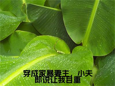 穿成家暴妻主，小夫郎说让我自重（顾清鸢全文在线阅读）-穿成家暴妻主，小夫郎说让我自重（顾清鸢）免费阅读无删减完整版
