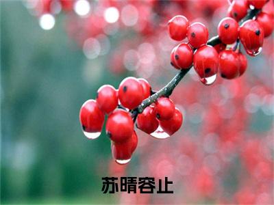 苏晴容止抖音热推小说全集无删减容止苏晴最新章节列表免费阅读_（苏晴容止）最新章节列表笔趣阁