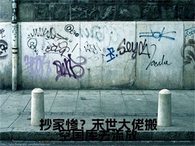 抄家惨？末世大佬搬空国库去流放全文免费阅读-（宋清池）小说全文免费阅读正版无弹窗