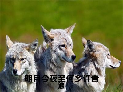 明月今夜至何乡许青澜纪行樾许青澜全文小说-明月今夜至何乡许青澜小说最新章节免费阅读