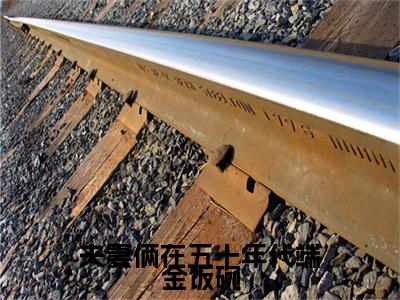 夫妻俩在五十年代端金饭碗小说全文免费阅读（林晼瑜白晔）全文免费阅读无弹窗大结局