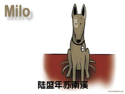 陆盛年苏南溪（陆盛年苏南溪）高质量小说免费阅读-主角是陆盛年苏南溪的小说叫什么名字（陆盛年苏南溪）