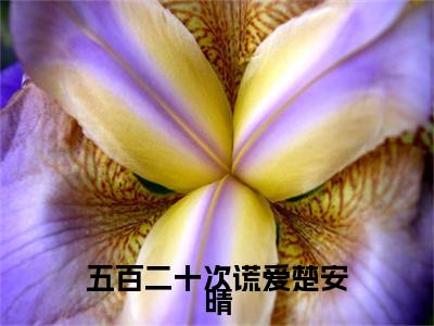 五百二十次谎爱楚安晴:苏和楚安晴全文免费阅读无弹窗大结局_五百二十次谎爱楚安晴:苏和楚安晴免费阅读