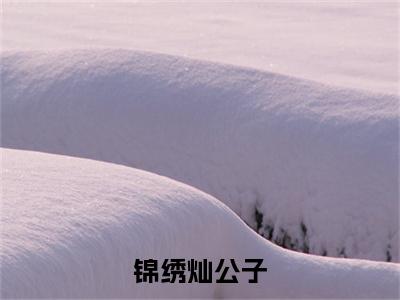 锦绣灿公子抖音新书热荐唐小姐灿公子-最新小说唐小姐灿公子全文阅读