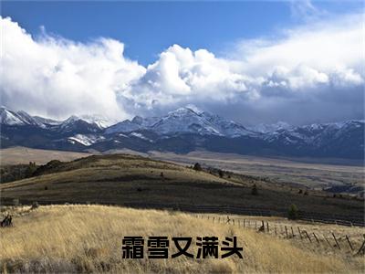 霜雪又满头全文（江浅月秦煜小说）全文免费阅读无弹窗大结局_霜雪又满头免费最新章节列表_笔趣阁（江浅月秦煜小说）