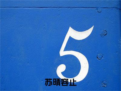 苏晴容止:容止苏晴全文免费阅读无弹窗大结局_苏晴容止:容止苏晴免费阅读