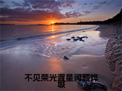 不见荣光渡星河顾烨城精彩章节免费阅读_（苏静怡顾烨城）不见荣光渡星河顾烨城抖音热推小说最新章节阅读
