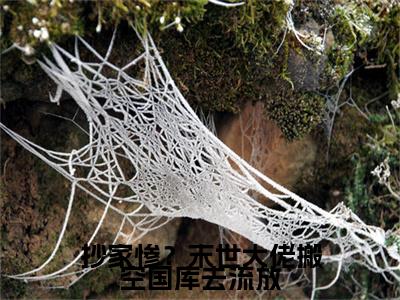 抄家惨？末世大佬搬空国库去流放小说全文免费阅读无弹窗大结局_（抄家惨？末世大佬搬空国库去流放全文免费阅读）宋清池最新章节列表笔趣阁
