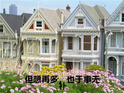 但想再多，也于事无补全集完整版大结局-许舒檬小说在线赏析