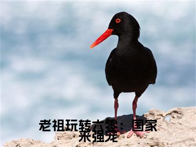 老祖玩转六零：国家来强宠全文（霍熹）小说免费阅读无弹窗大结局_老祖玩转六零：国家来强宠全文无弹窗完整版阅读