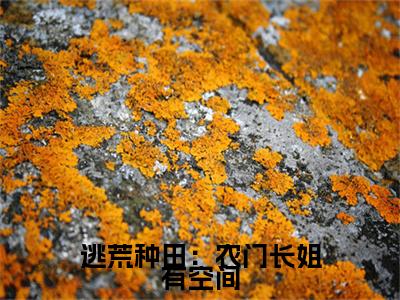 逃荒种田：农门长姐有空间是什么小说，逃荒种田：农门长姐有空间（许念洛槿安）完整章节在线阅读