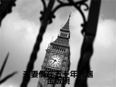 夫妻俩在五十年代端金饭碗（林晼瑜白晔）全文免费阅读_夫妻俩在五十年代端金饭碗言诺诺，井傅宸小说最新章节列表笔趣阁