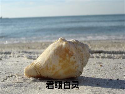 主角是白灵君翊的小说叫什么名字君翊白灵-老书虫书荒推荐热点小说君翊白灵（白灵君翊）