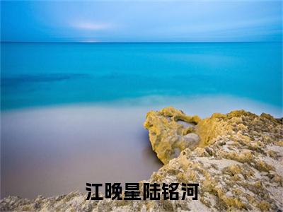 江晚星陆铭河小说主角叫什么江晚星陆铭河全文免费阅读大结局