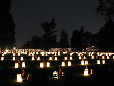 苏诺厉璟小说在线阅读苏诺厉璟无广告小说免费在线阅读（免费）+（结局）