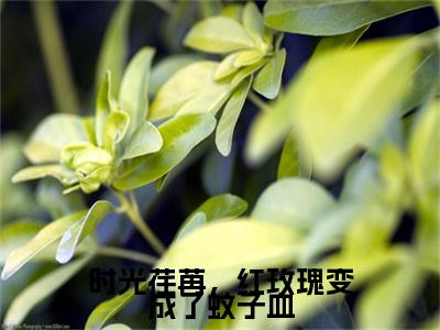 时光荏苒，红玫瑰变成了蚊子血全文免费无弹窗大结局_乔唯江泽铭免费时光荏苒，红玫瑰变成了蚊子血最新章节列表_笔趣阁