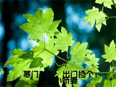 李墨（寒门书生：出门捡个便宜小娇妻）全文免费阅读无弹窗_李墨最新小说_笔趣阁（寒门书生：出门捡个便宜小娇妻）