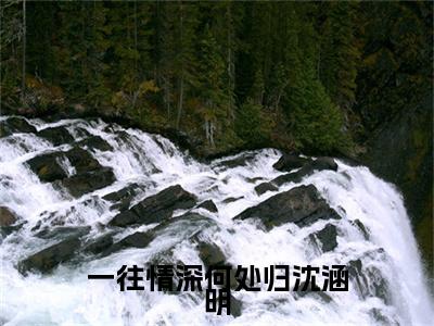 程祁言沈涵明小说一往情深何处归沈涵明全文免费阅读无弹窗-正版小说程祁言沈涵明全文阅读