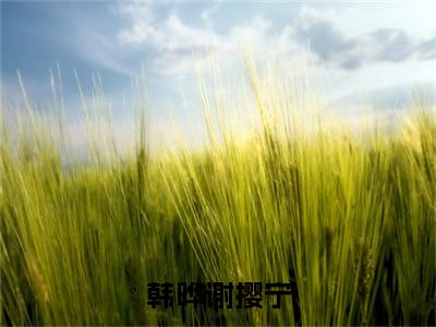 谢撄宁韩晔（韩晔谢撄宁）小说最后结局-（韩晔谢撄宁）完结版免费阅读