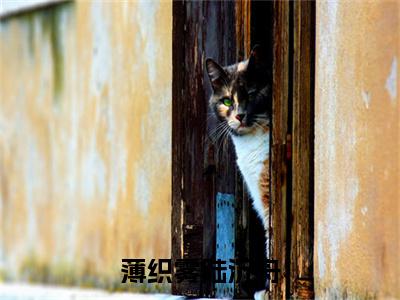 薄织雾陆沉舟（陆沉舟薄织雾）全文免费阅读无弹窗大结局_薄织雾陆沉舟（薄织雾陆沉舟）免费在线阅读最新章节列表笔趣阁