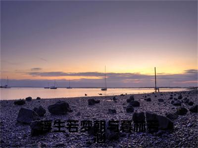 主人公叫（易之野林若涵）的小说（浮生若梦朝与暮林若涵）全文免费阅读最新章节列表_笔趣阁