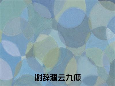 谢辞渊云九倾（云九倾谢辞渊）全文免费读无弹窗大结局_（云九倾谢辞渊免费小说）谢辞渊云九倾无弹窗最新章节列表