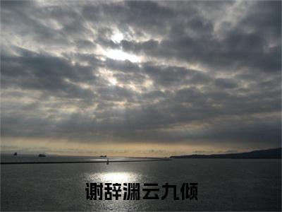 云九倾谢辞渊小说（谢辞渊云九倾）全文免费阅读无弹窗大结局_谢辞渊云九倾小说最新章节列表_笔趣阁（云九倾谢辞渊）