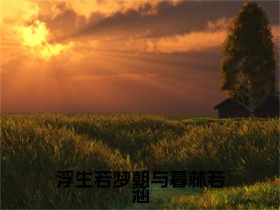 浮生若梦朝与暮林若涵小说全文免费阅读无弹窗-易之野林若涵全文在线阅读
