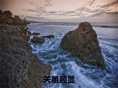 关雎顾显小说在线阅读（关雎顾显）全文免费阅读无弹窗大结局