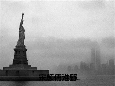宋颜傅淮野小说全文免费阅读无弹窗大结局-宋颜傅淮野免费阅读无弹窗