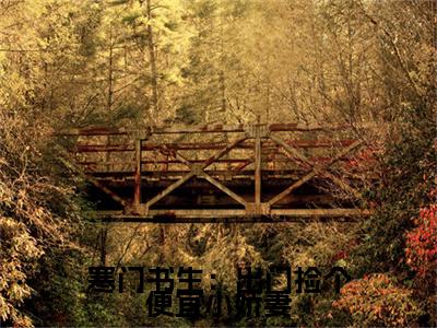 李墨小说最后结局-寒门书生：出门捡个便宜小娇妻完结版免费阅读