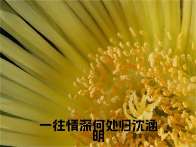 程祁言沈涵明小说免费阅读-一往情深何处归沈涵明完整版全文大结局