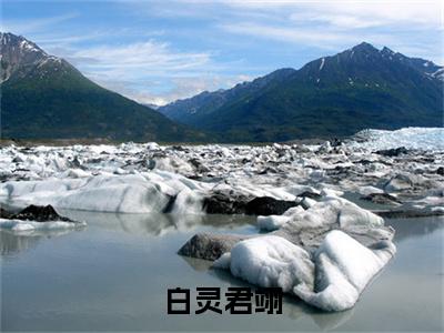 （白灵君翊）白灵君翊新书热荐免费小说-白灵君翊小说全文完整版阅读