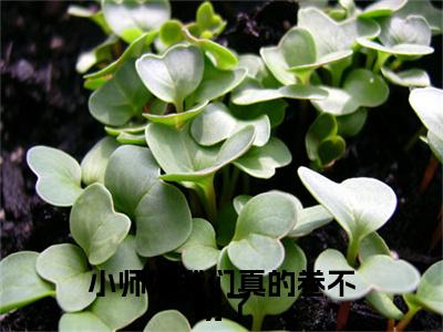 小师妹我们真的卷不动了（凤倾染）全文免费阅读无弹窗大结局_小师妹我们真的卷不动了小说全文免费阅读最新章节列表（凤倾染）