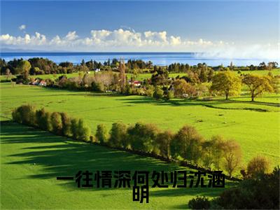 程祁言沈涵明全文免费阅读无弹窗大结局-一往情深何处归沈涵明最新章节列表免费阅读