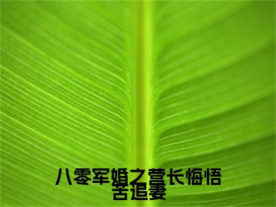 八零军婚之营长悔悟苦追妻（霍启延乔书芩）全文免费阅读无弹窗大结局_（八零军婚之营长悔悟苦追妻）最新章节列表_笔趣阁