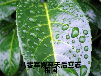 八零军嫂弃夫后立志报国（沈清荟谢修泽）全文免费阅读无弹窗大结局_（八零军嫂弃夫后立志报国）免费阅读无弹窗最新章节列表_笔趣阁
