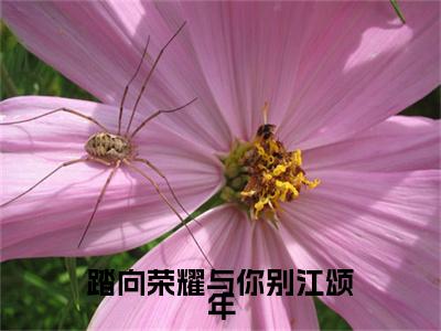 踏向荣耀与你别江颂年结局_（孟秋意江颂年）踏向荣耀与你别江颂年最新章节列表_笔趣阁