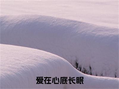 爱在心底长眠小说（孟辞琛岑安玥）全文免费阅读无弹窗大结局_爱在心底长眠全文免费完结版阅读（孟辞琛岑安玥）