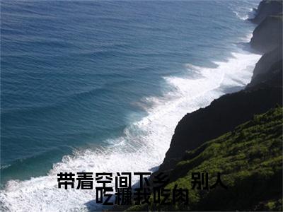 带着空间下乡，别人吃糠我吃肉小说（沈宁顾长庚）全文免费阅读大结局_（带着空间下乡，别人吃糠我吃肉）沈宁顾长庚小说免费阅读无弹窗
