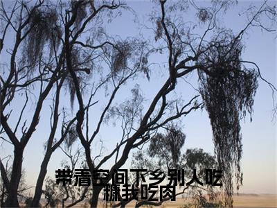 带着空间下乡别人吃糠我吃肉全文免费阅读无弹窗（小说全文免费阅读）沈宁顾长庚最新章节列表