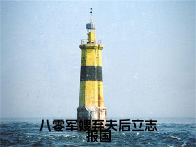 八零军嫂弃夫后立志报国精选小说大结局阅读_（沈清荟谢修泽）八零军嫂弃夫后立志报国免费阅读最新章节列表