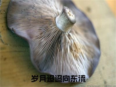 岁月迢迢向东流抖音热推小说全集无删减姜斐娴钟淮煦最新章节列表免费阅读_（岁月迢迢向东流）最新章节列表笔趣阁